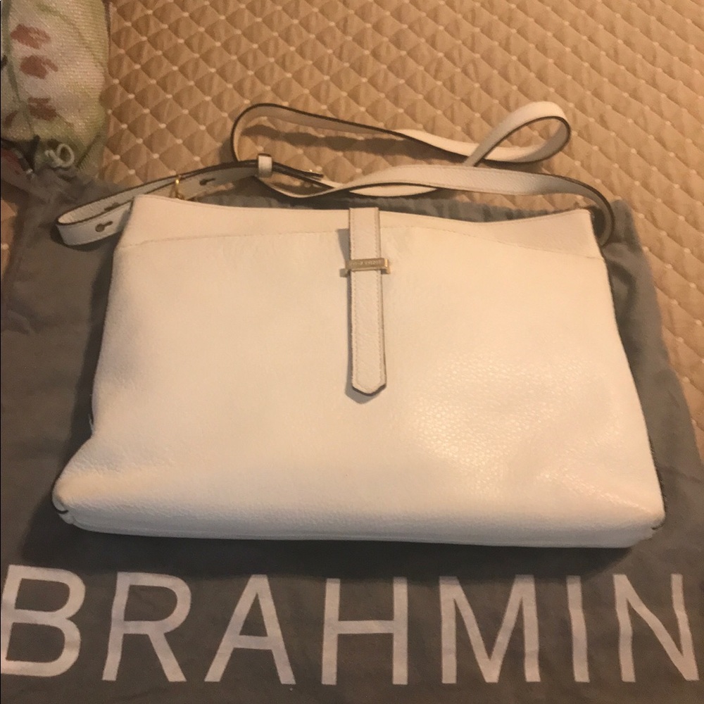 Brahmin  gently used
